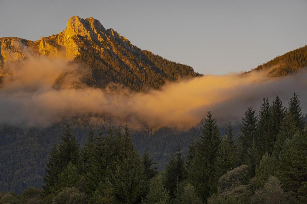 Gori Boutique Apartments - Tirol Reutte Zewnętrze zdjęcie
